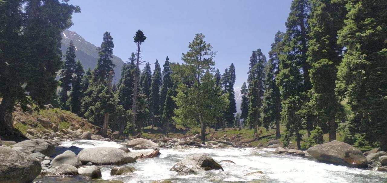 New Relax Inn, Pahalgam, 2 Km From Lidder Valley Luaran gambar